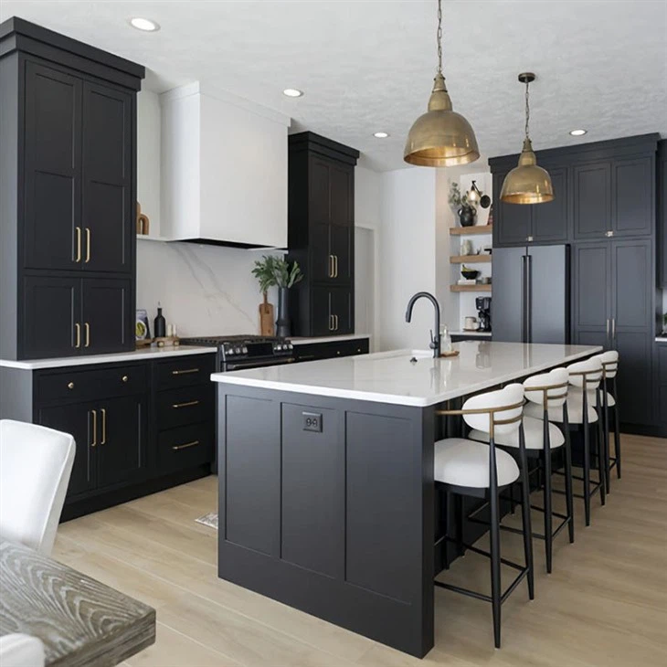 black rta kitchen cabinets-01